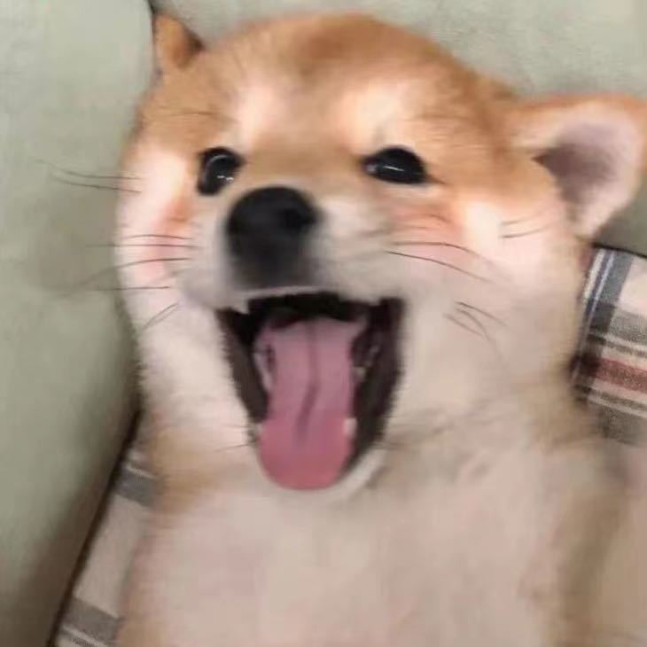 加载头像